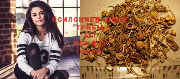 ECSTASY Долгопрудный