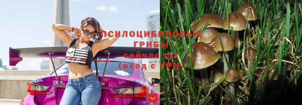 таблы Сосновый Бор