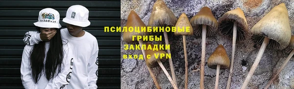 таблы Сосновый Бор