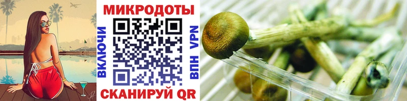 Галлюциногенные грибы Cubensis  Благовещенск 