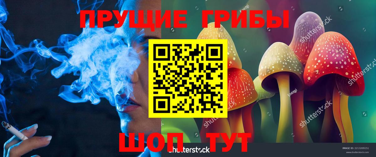 Псилоцибиновые грибы Magic Shrooms Благовещенск