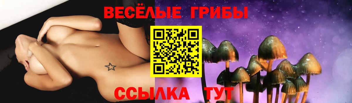 Благовещенск  Галлюциногенные грибы Psilocybine cubensis  Вход с VPN 